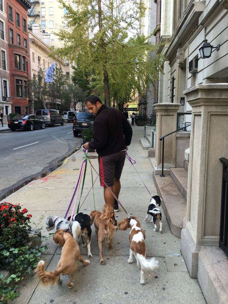 Potty Breaks Take Real Planning in the City