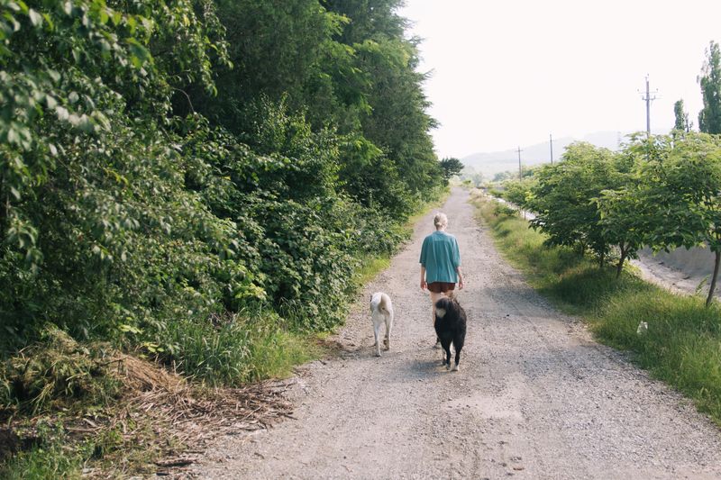 Walks Go From Long And Quiet To Short And Busy