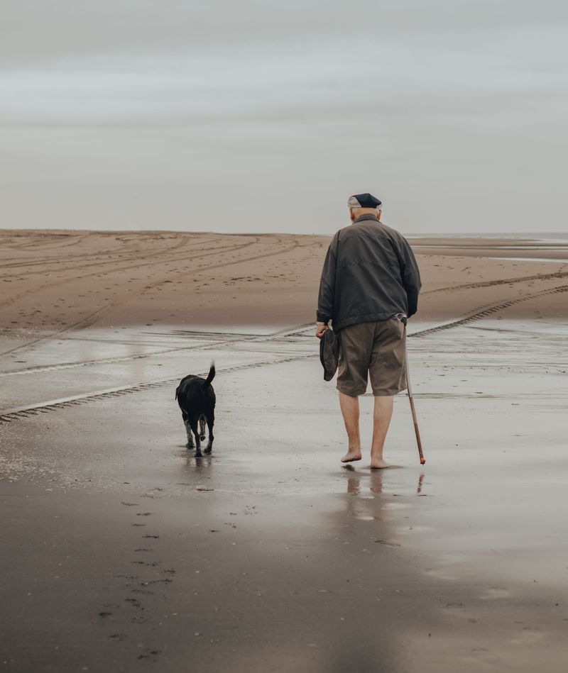 Older Dogs Need an Easier Path