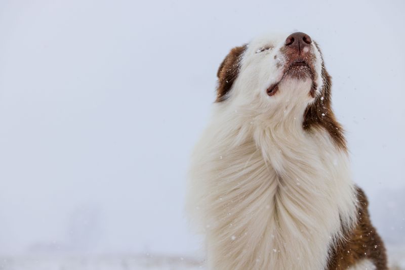Winter Up North Means Watching Wind Chill Closely