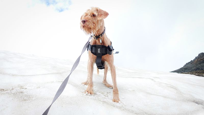 A Mud-Ready Harness