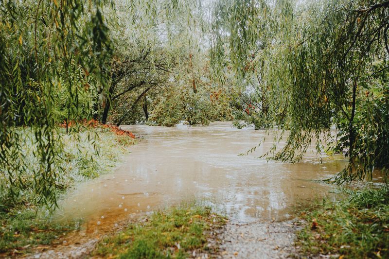 Floodwater Can Hide the Edge of a Path