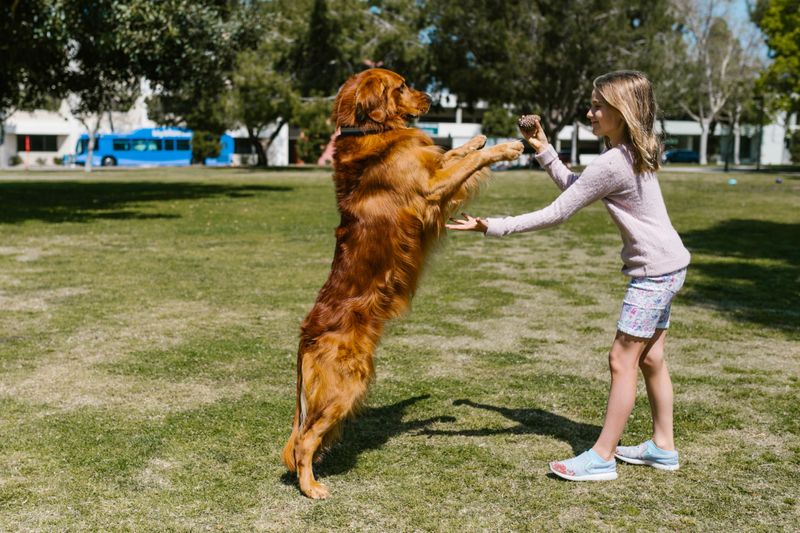 Jumping Greetings That Guests Encourage