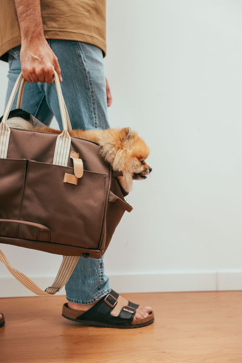 A Secure Carrier or Evacuation Bag