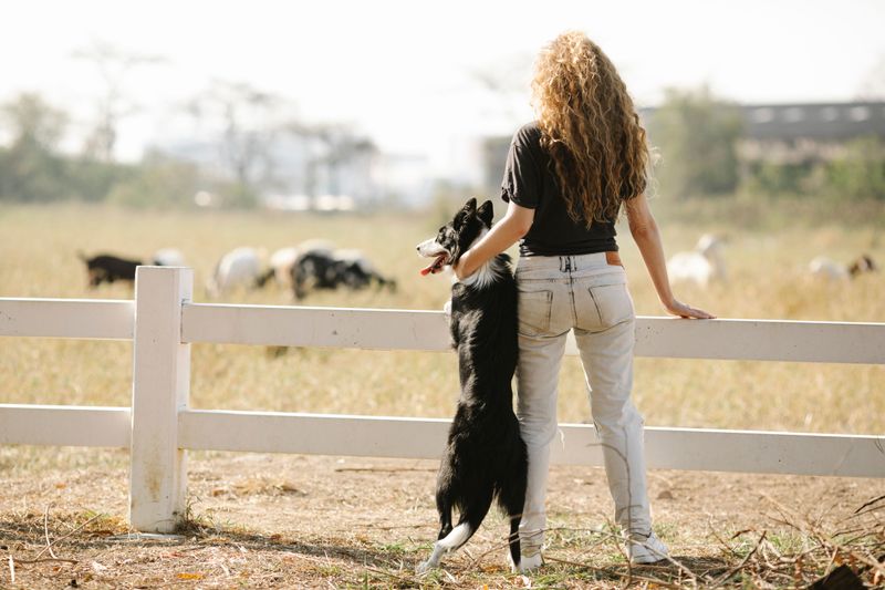 Training Matters More When The Yard Is Huge