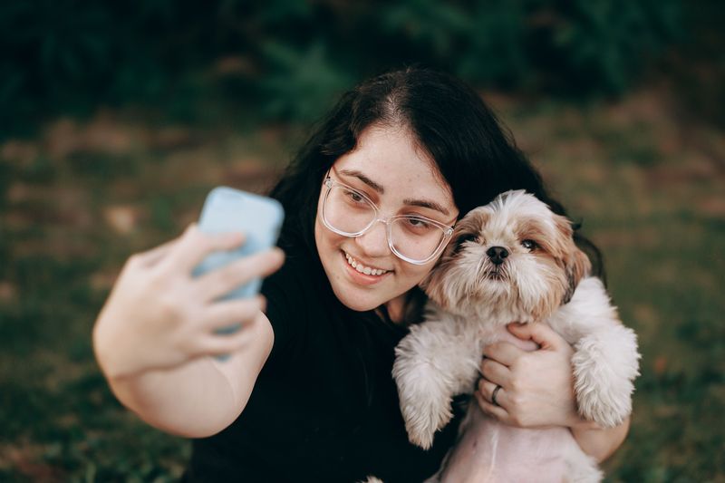 Know Which Registry Holds Your Dog's Record
