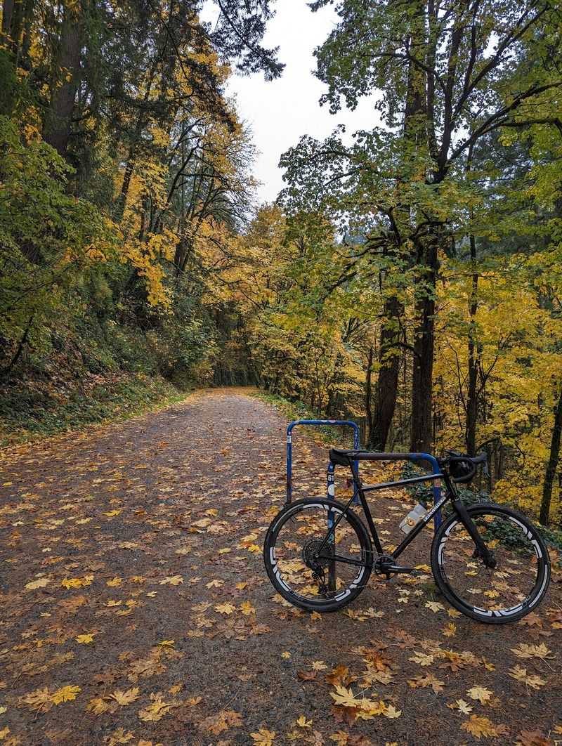Leif Erikson Drive, Forest Park