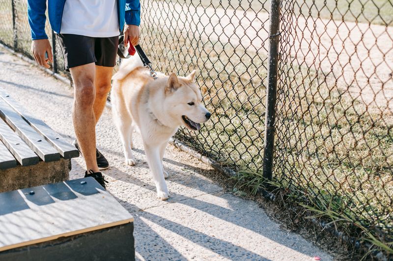 Off-Leash Areas Come With Their Own Etiquette