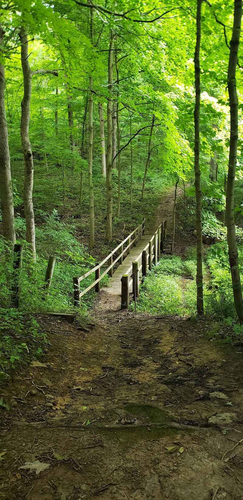 Barkcamp State Park Campground