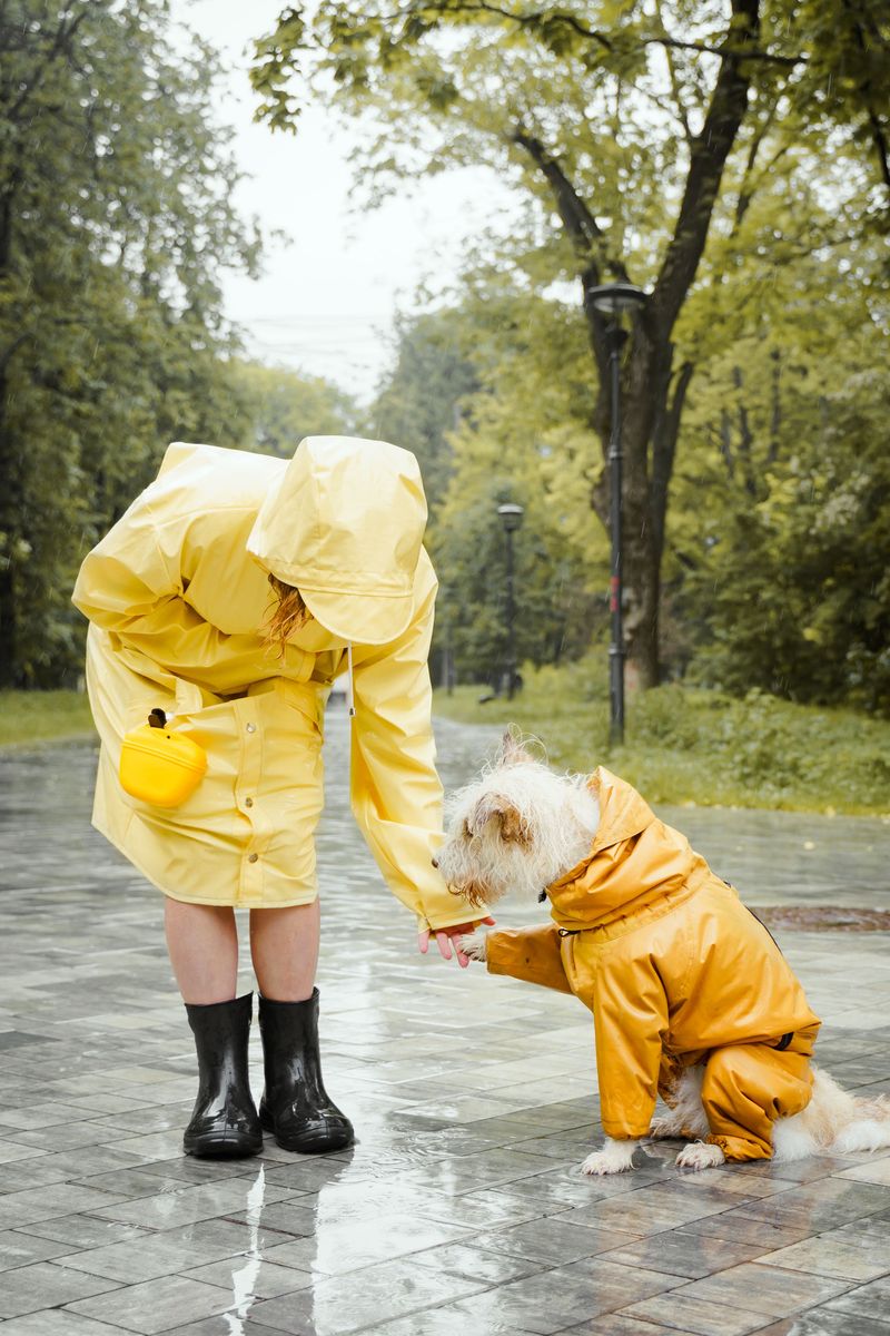 A Dog Raincoat