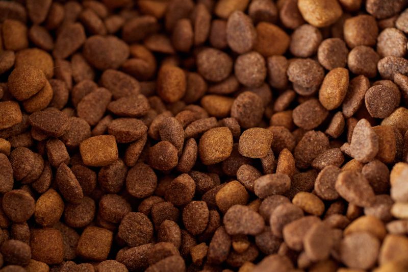 Dog Food Stocked at Both Homes