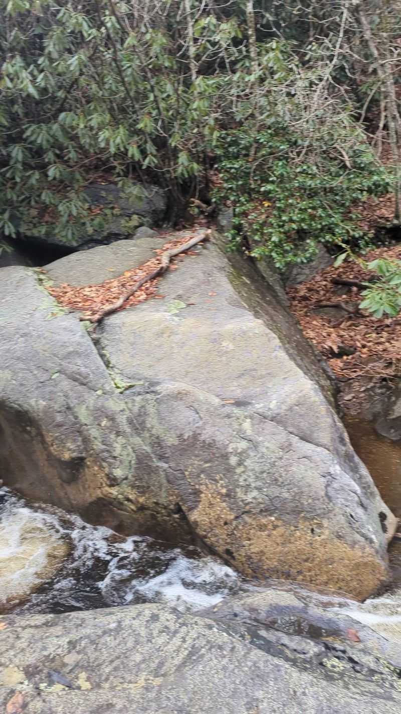 Cabin Creek Trail, Grayson Highlands State Park