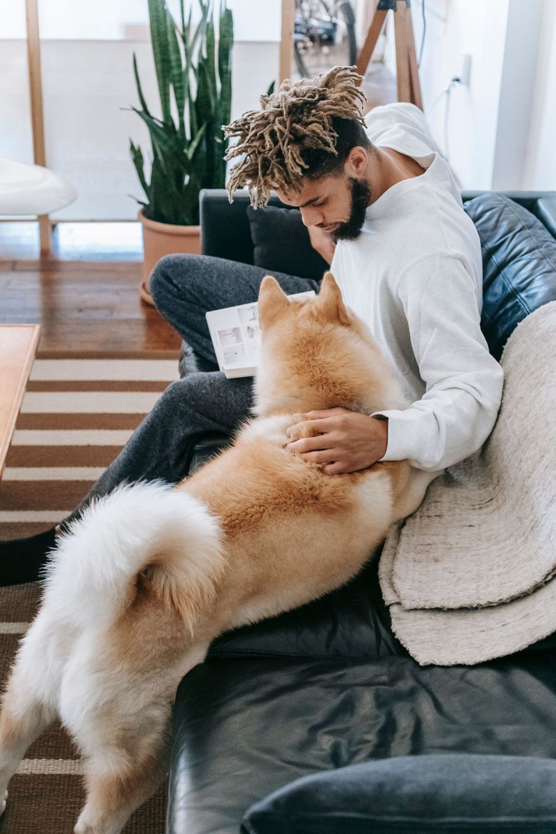 Deposit, Fee, or Monthly Pet Rent?