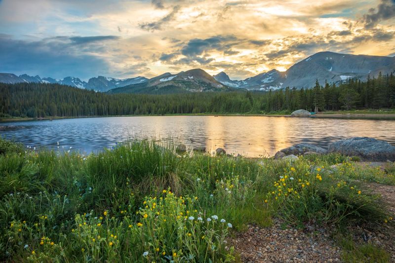 Brainard Lake Picnic Site, Near Ward