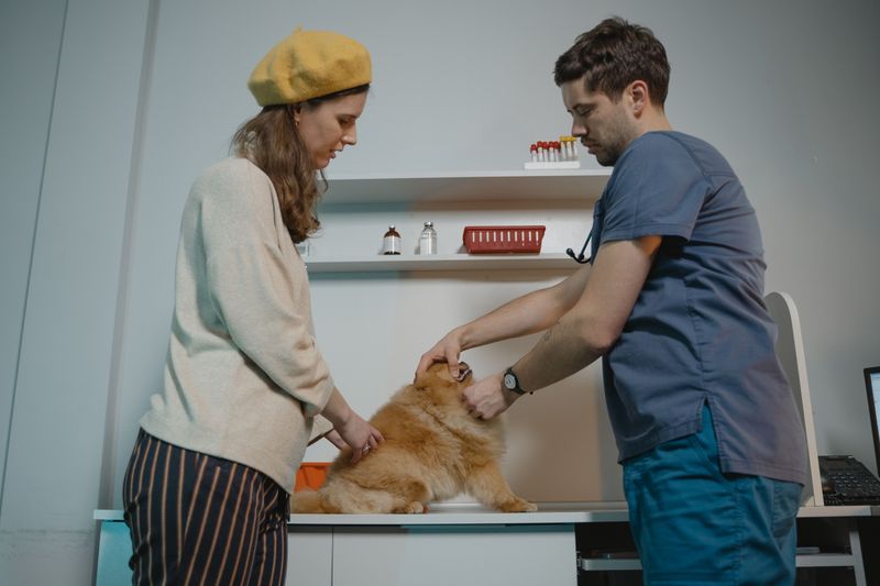 Keep Your Dog’s Records Ready