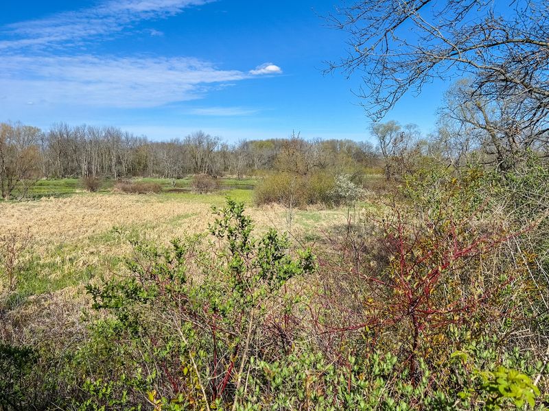 Albany Sand Prairie & Oak Savanna