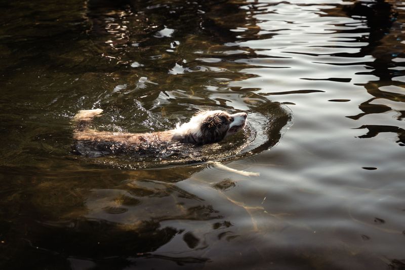 Deep Water Can Be Dangerous Even for Strong Swimmers