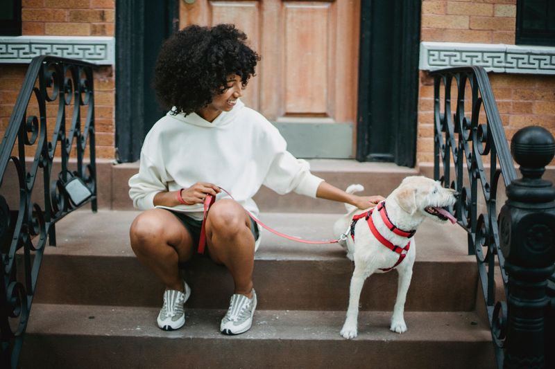 Clock-Based Bathroom Breaks Keep Rowhouse Life Smooth