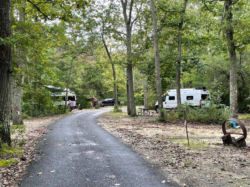 Belleplain State Forest: Pick a Trail That Fits the Day