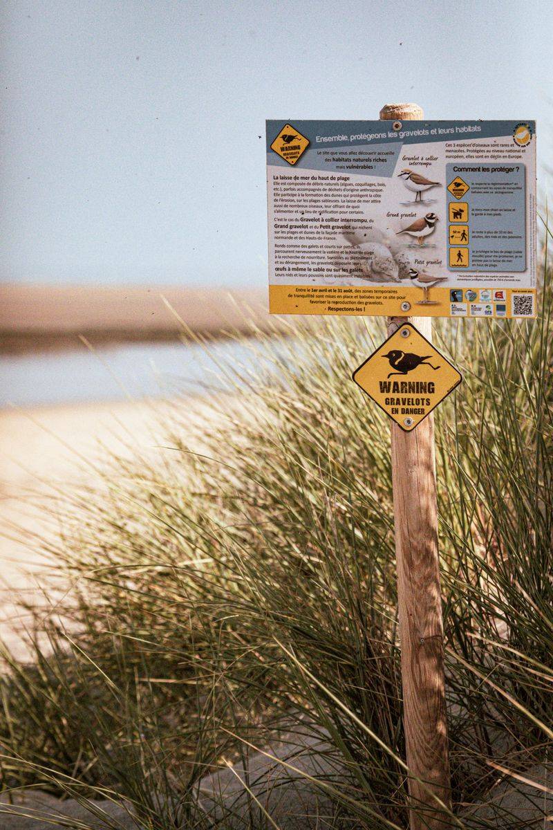 Respect Swimming And Wildlife Areas