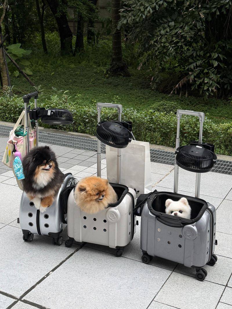 Keep the Carrier Out of the Way