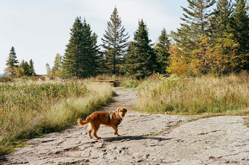 Explore the Island's Outdoor Areas