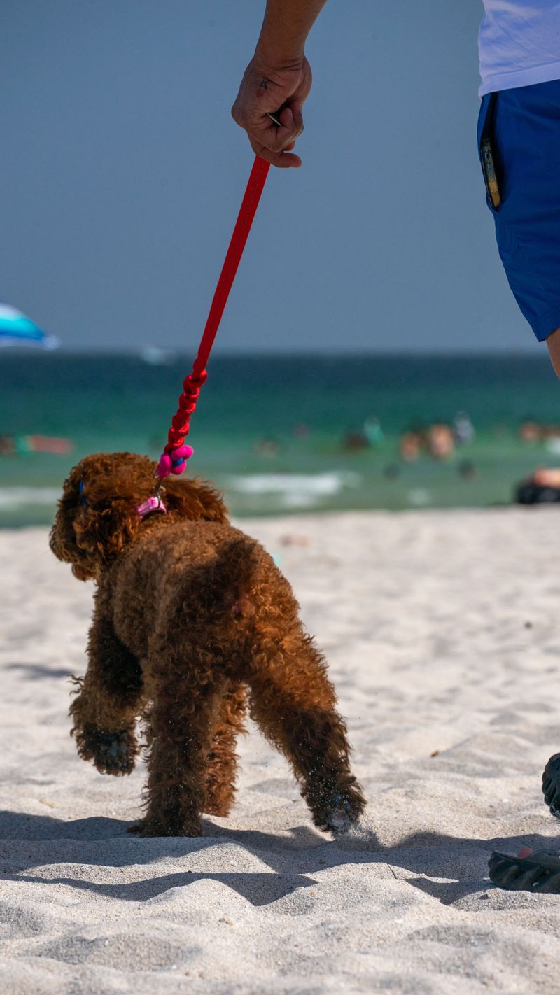Brigantine Mixes Year-Round And Seasonal Zones