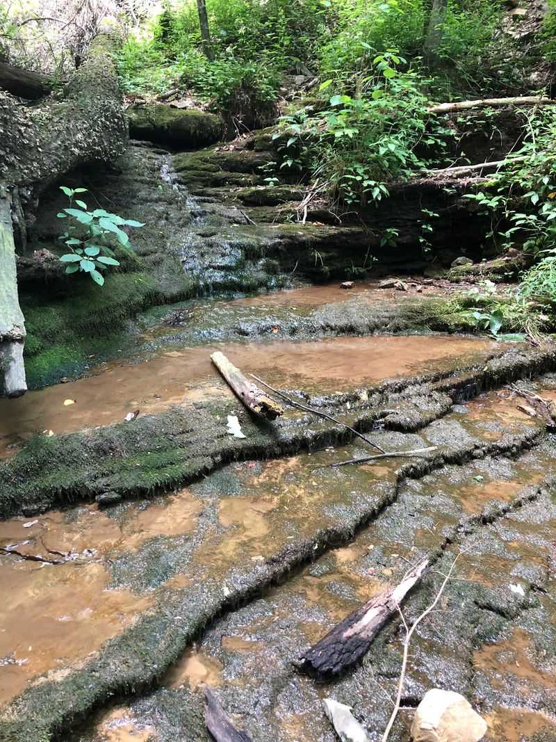 Powell Trail, Little River Canyon National Preserve