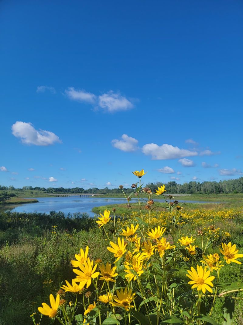 Buffalo Creek Forest Preserve, Long Grove