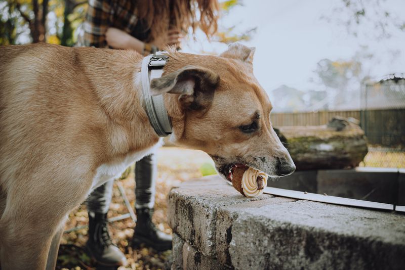 Table Scraps Sneaking Off The Grill Plate