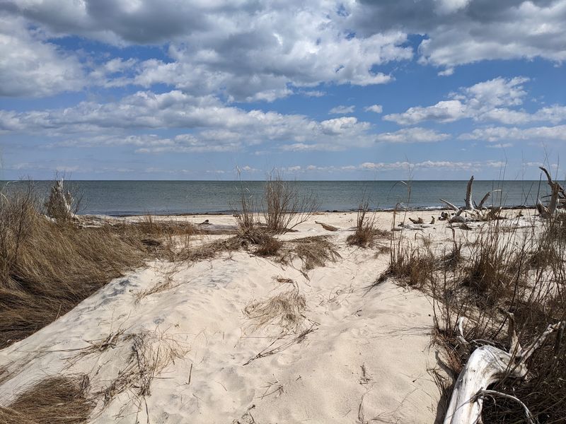 Hughlett Point Natural Area Preserve