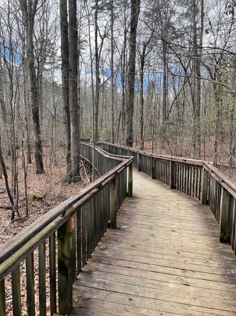 Talmadge Butler Boardwalk and Azalea Cascade, DeSoto State Park