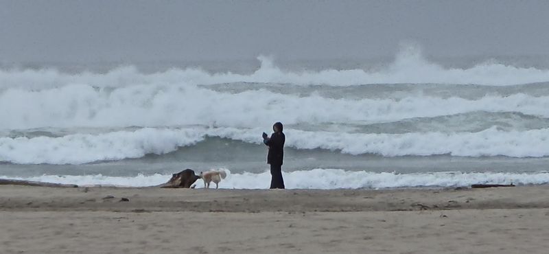 Agate Beach State Recreation Site, Newport