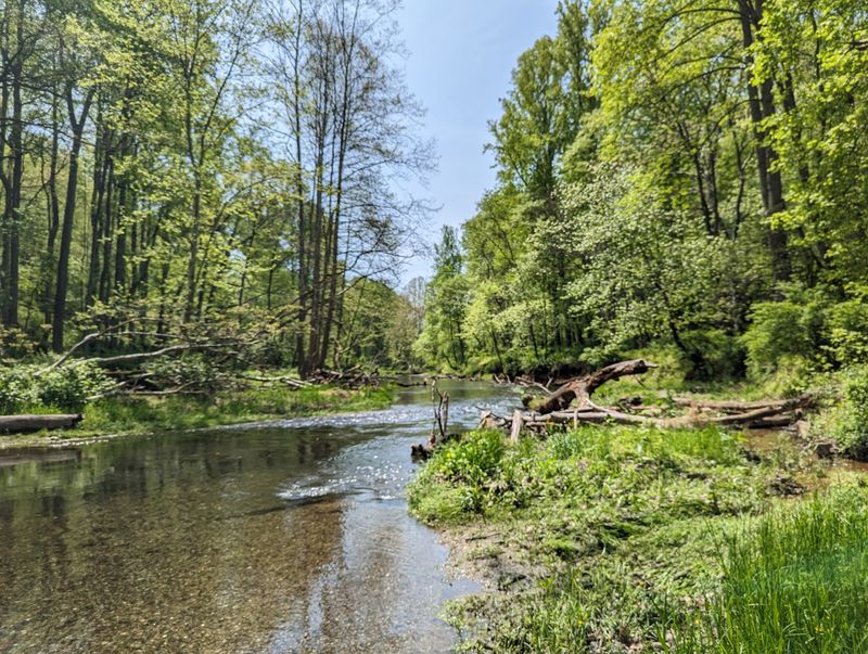 Lefty Kreh Fishing Trail