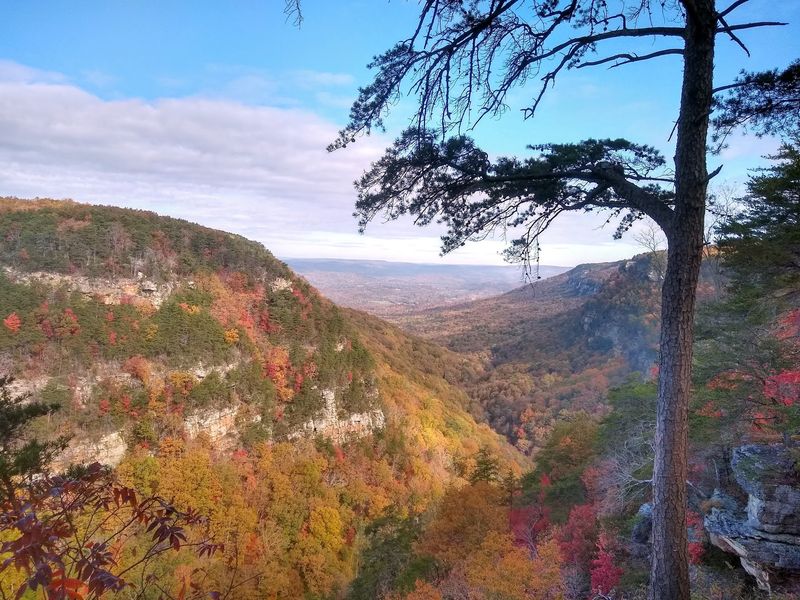 Cloudland Canyon State Park, Rising Fawn