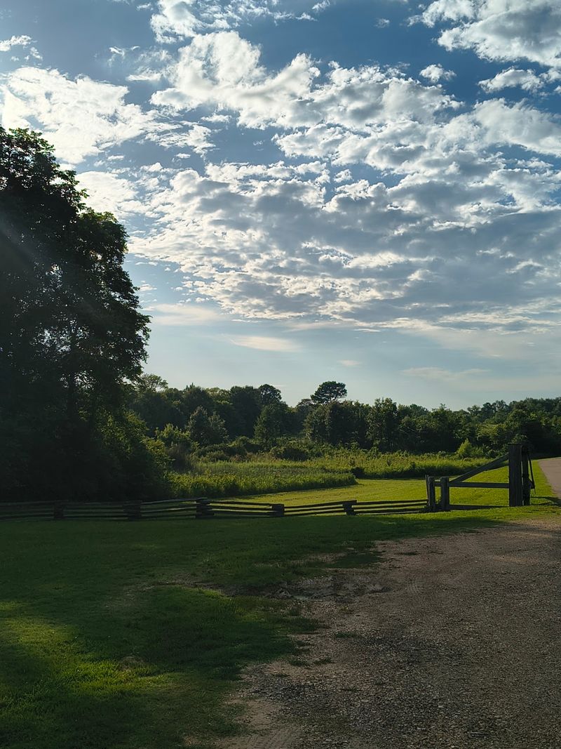 Chickasaw Village Site, Tupelo