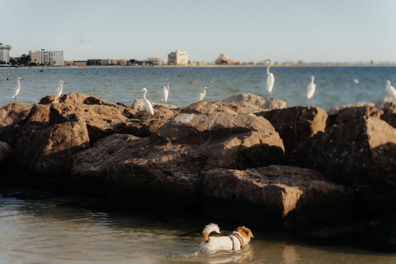 Both Salt And Fresh Water Carry Risk