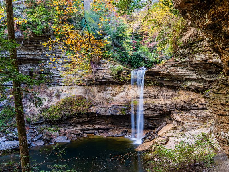 Savage Falls