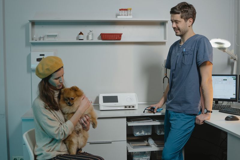 Ask Your Vet When Busy Sidewalks Are Safe