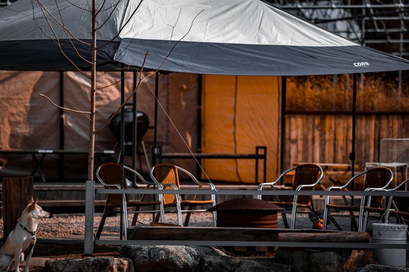 Shade Structures for the Backyard