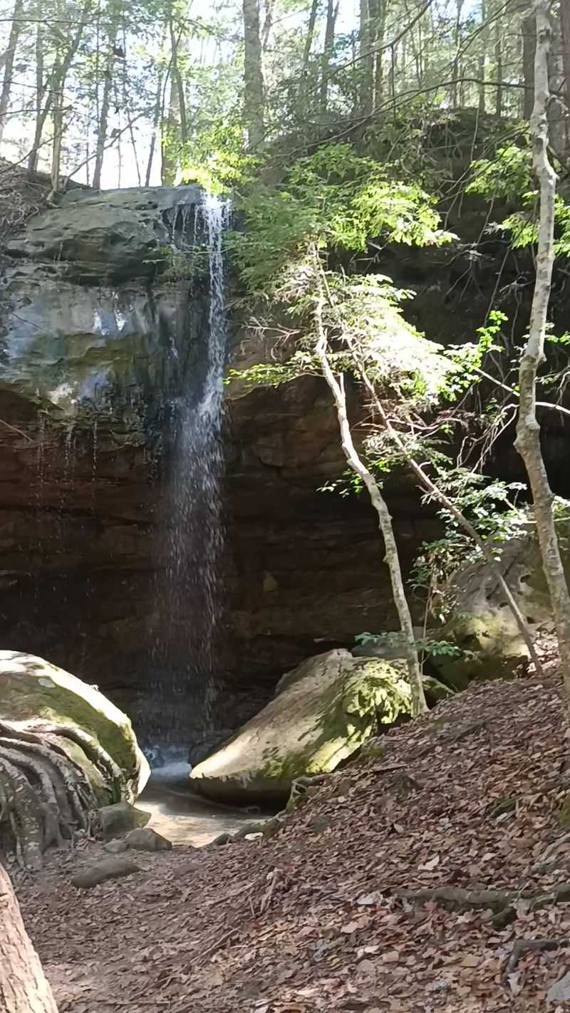 Sipsey River Trail, Bankhead National Forest