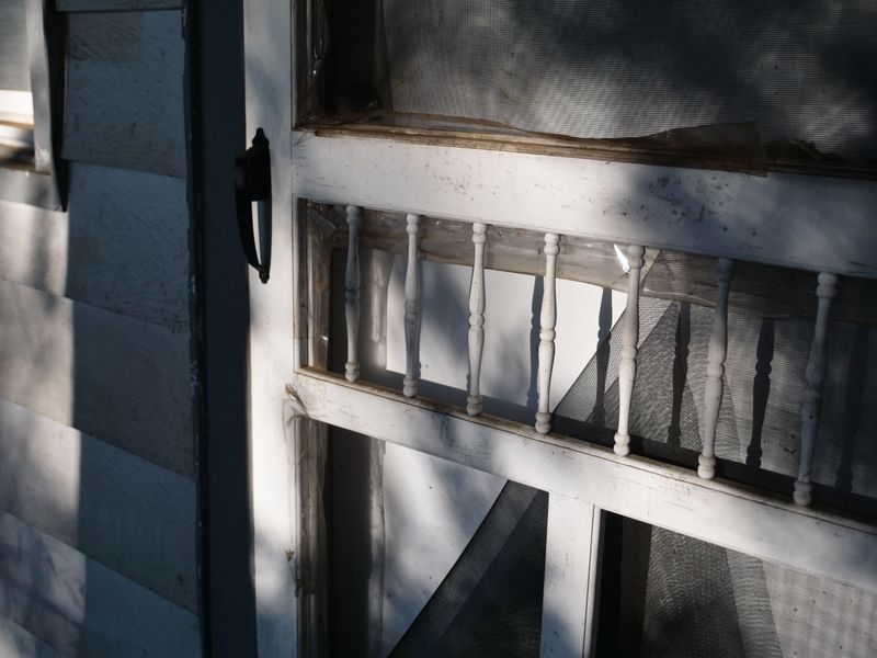 Old Spline and Sun-Worn Mesh