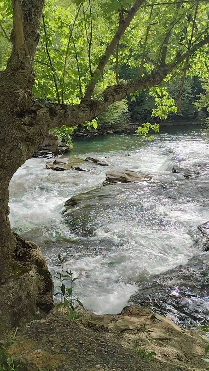 Hanby Hollow Falls Trail at Turkey Creek Nature Preserve, Pinson