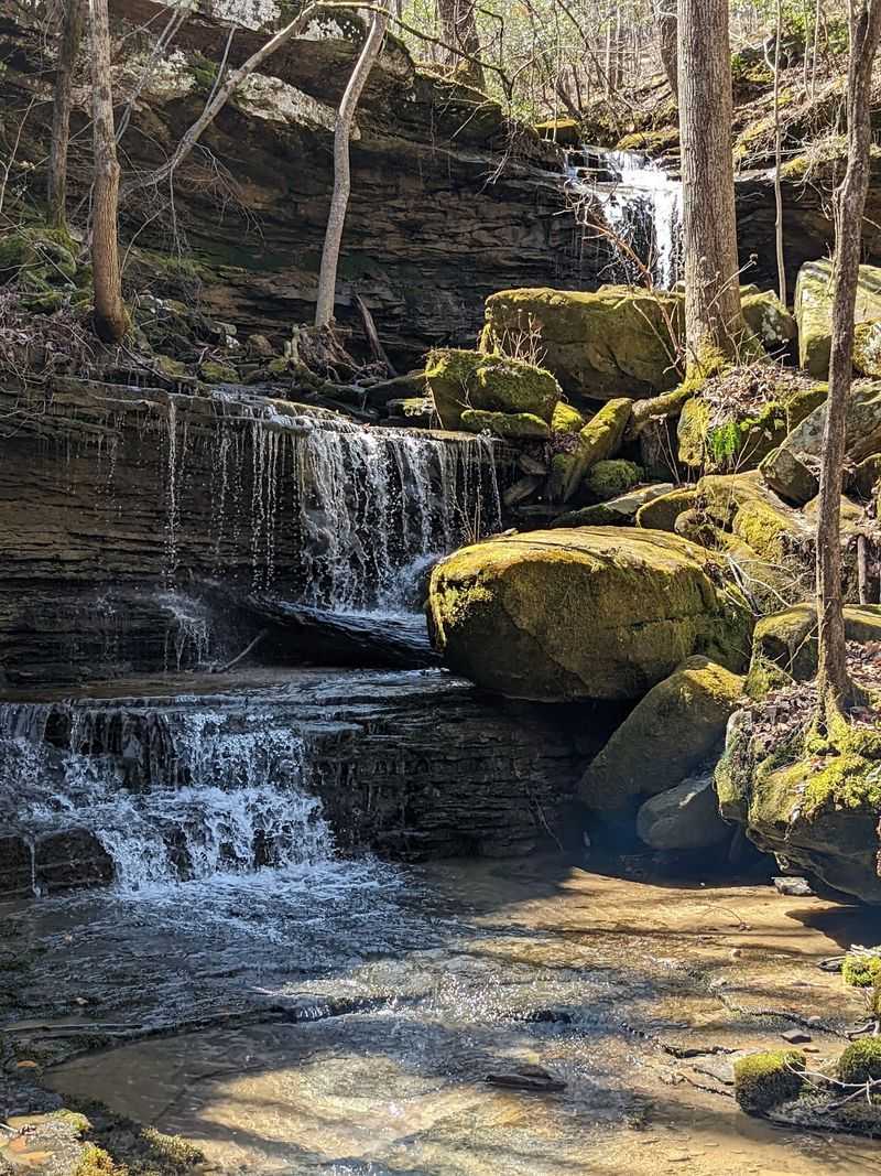 Cane Creek Canyon Nature Preserve, Tuscumbia