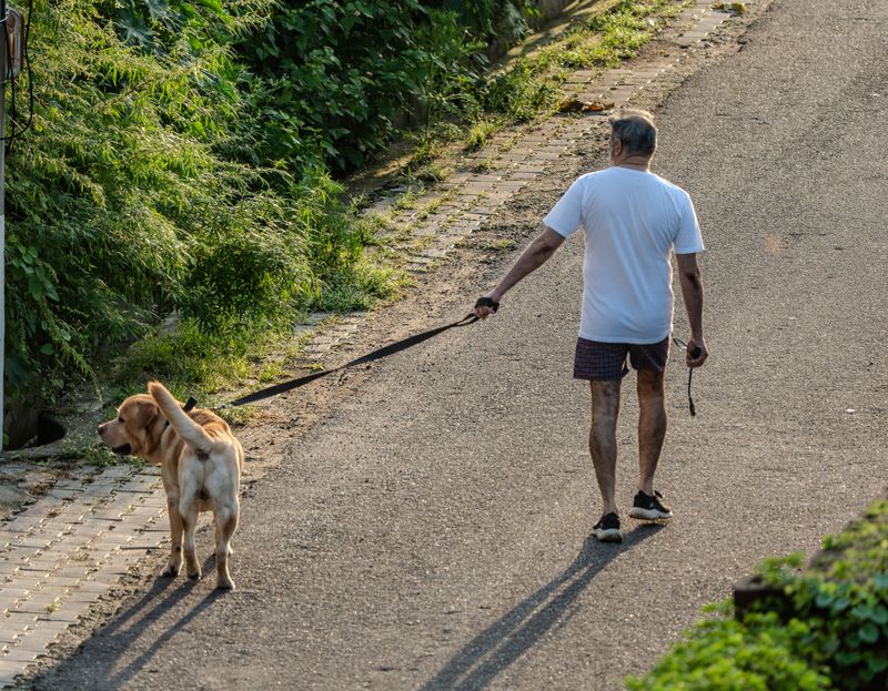 Know When A Walk Should End