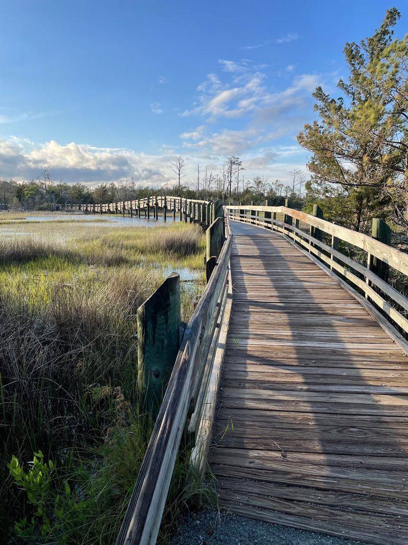 Cheesequake State Park: Two Landscapes in One Walk