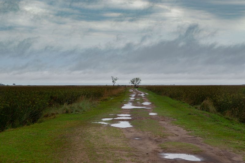 Read the Sky and the Roads
