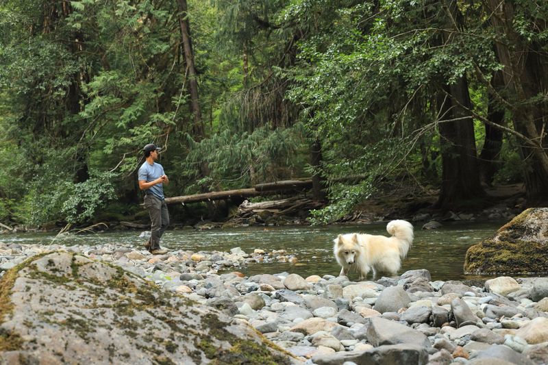 Have an Exit Plan Before Your Dog Enters