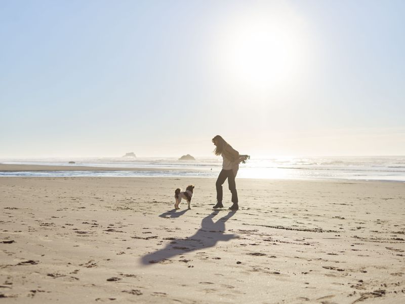 Give Nervous Dogs a Gentle Introduction