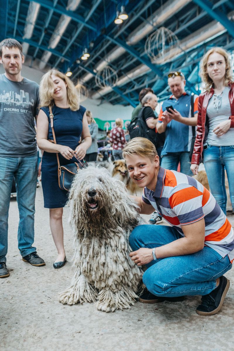 Indoor Events Where Dogs Are Guests